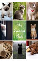 My Address Book: Cat Cover - Address Book for Names, Addresses, Phone Numbers, E-mails and Birthdays