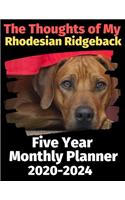 The Thoughts of My Rhodesian Ridgeback