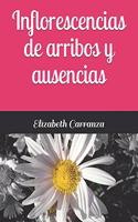 Inflorescencias de arribos y ausencias
