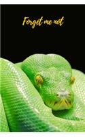 Forget Me Not: Big Green Snake.Internet Password Logbook with alphabetical tabs.Personal Address of websites, usernames, passwords notebook/Journal/Organizer/Keepe