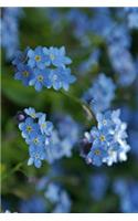 Forget Me Not Flowers in the Wild Up Close Journal