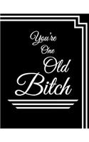 You're One Old Bitch: Discreet Internet Website Password Organizer, Funny Birthday Gifts for Women, Daughter, Mother, Sister, Grandma, Girlfriend, Wife, Co-Worker, Best Friend, Large Print Book, Size 8 1/2 X 11