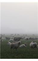 Scotland Sheep in the Fog in Scotland Journal