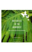 Butterflies of the Rainforest