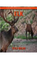 Elk! Learn about Elk and Enjoy Colorful Pictures