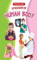 My Big Book Of Human Body