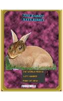The Rabbit Says Ribbit: The World from a left handed point of view