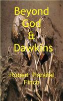 Beyond God and Dawkins