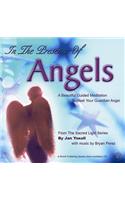 In the Presence of Angels
