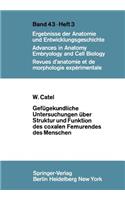 Gefügekundliche Untersuchungen Über Struktur Und Funktion Des Coxalen Femurendes Des Menschen