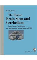 Human Brain Stem and Cerebellum