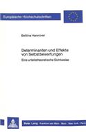 Determinanten Und Effekte Von Selbstbewertungen: Eine Urteilstheoretische Sichtweise(231 Europaeische Hochschulschriften / European University Studie)