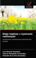Kleje topliwe z zywicami roslinnymi