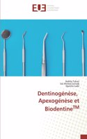 Dentinogénèse, Apexogénèse et BiodentineTM