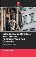 Introdução ao Direito e aos Direitos Fundamentais nos Camarões