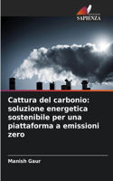 Cattura del carbonio