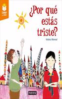 Â¿Por que estas triste?: Rustica