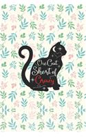 One Cat Short of Crazy