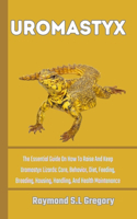 Uromastyx