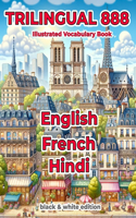 Trilingual 888 English French Hindi Illustrated Vocabulary Book