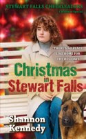 Christmas in Stewart Falls