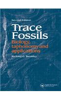 Trace Fossils