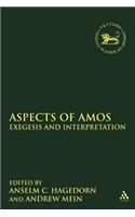 Aspects of Amos