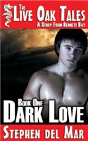 Dark Love: A Story from Bennett Bay