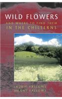 Wild Flowers and Where to Find Them in the Chilterns