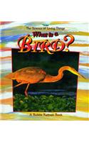What Is a Bird?