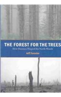 Forest for the Trees