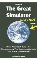 The Great Simulator, Parts 1 & 2: Your Practical Guide to Recognising the Amazing Illusion You Are Experiencing