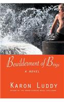 Bewilderment of Boys