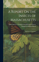 Report On the Insects of Massachusetts