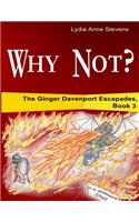 Why Not?: The Ginger Davenport Escapades, Book 3(3 Ginger Davenport Escapades)