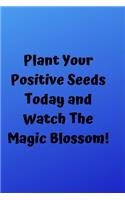 Plant Your Positive Seeds Today And Watch The Magic Blossom!