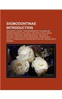 Sigmodontinae Introduction: Thomasomys, Nephelomys Devius, Cerradomys Scotti, Nephelomys Moerex, Hylaeamys Megacephalus, Oligoryzomys Nigripes(English)