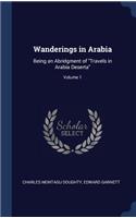 Wanderings in Arabia