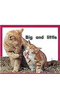 Big and Little: Leveled Reader Bookroom Package Magenta (Level 2)