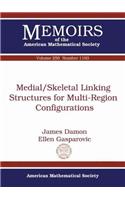 Medial/Skeletal Linking Structures for Multi-Region Configurations: (Memoirs of the American Mathematical Society)