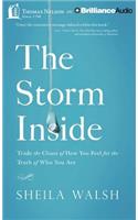 The Storm Inside