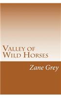 Valley of Wild Horses