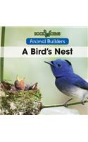 A Bird's Nest