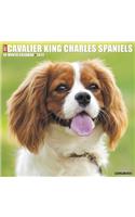 Just Cavalier King Charles Spaniels 2020 Wall Calendar (Dog Breed Calendar)