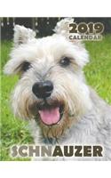 Schnauzer 2019 Calendar