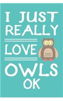 I Just Really Love Owls Ok