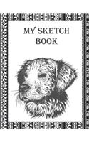 My Sketch Book