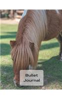 Bullet Journal
