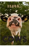 I Love Cows