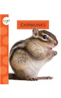 Chipmunks